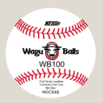 WB100 PRIME - Flat Seam High School Game Ball- Josh