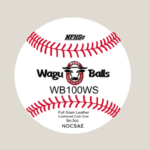 WB100WS PRIME - Wide Seam High School Game Ball- Josh
