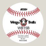 WB15B - Recreation Game Ball- Josh