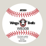 WB30B - Flat Seam Recreation Game Ball - Josh