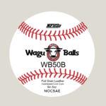 WB50B - Flat Seam Travel Baseball- Josh