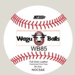 WB85 PRIME - Flat Seam High School Baseball- Josh